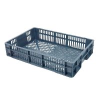 Plastikowy pojemnik Euronorm 600x400x80mm - perforowany