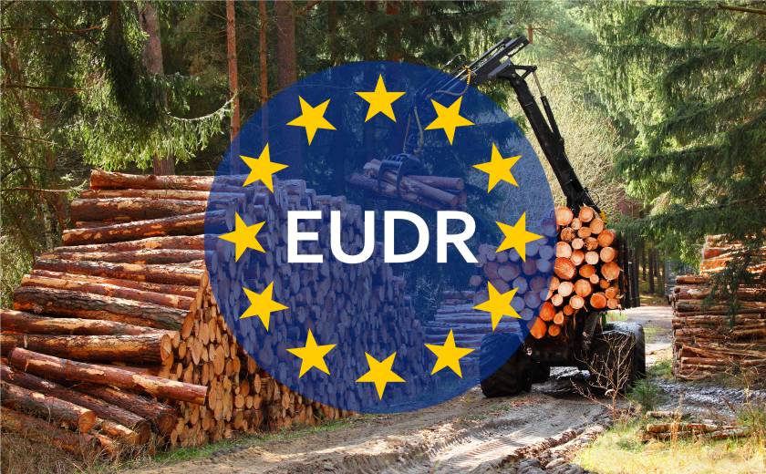 EUDR - jak wpłynie na zrównoważone zarządzanie opakowaniami drewnianymi?