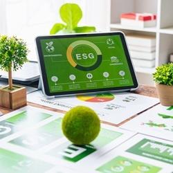 Dlaczego w Rotom stawiamy na profesjonalne zarządzanie zrównoważonym rozwojem?