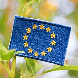 Rotom wzmacnia zrównoważoną logistykę w obliczu globalnych wyzwań w łańcuchach dostaw