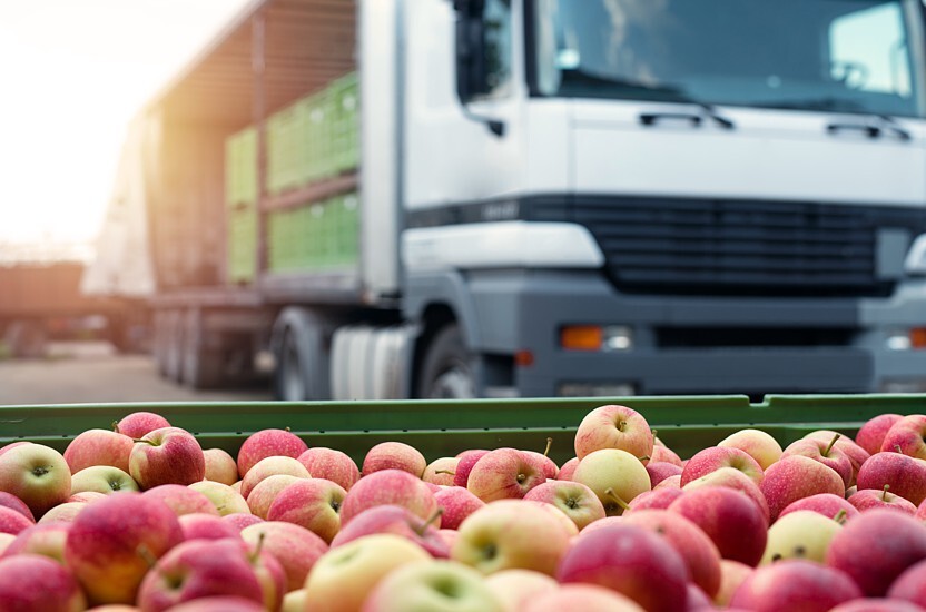 Zachowaj świeżość warzyw i owoców dzięki roli odpowiednich opakowań logistycznych